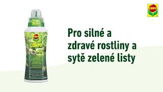 COMPO Tekuté hnojivo pro zelené rostliny a palmy