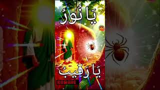 Best islamic wazifa #allah #wazifa #religion #trending #subhanallah #shortvideo #viralvideo