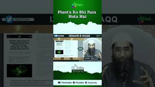 Plant's Ko Bhi Pain Hota Hai by Zaid Patel iPlus TV ikhtilaf Ka Hal #shorts