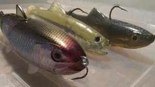 How To Swimbait Fish in Wisconsin