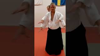 Aikido in slow motion: KOTEGAESHI, by Stefan Stenudd