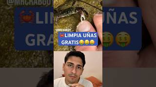 CANGREJO PEDICURISTA #fypyoutube #shortvideo #funny