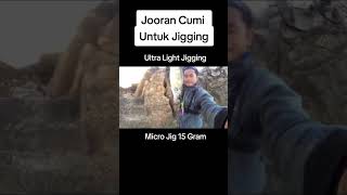 Joran Melengkung!!!Pancing Cumi dibuat Jigging#ultralightfishing #duniamancing #shorts