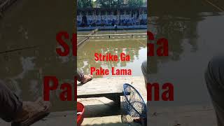 Strike Ga Pakai Lama