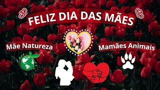 Feliz dia das Mães, Mãe Natureza e as Mamães Selvagens!