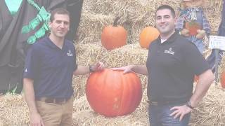 Stay Safe While Having Fun Pumpkin Picking