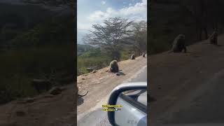 Las carreteras de Kenia no dejan de sorprenderte