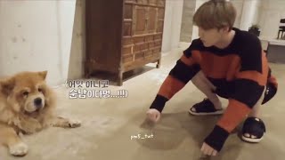 BTS  (방탄소년단) CUTE AND FUNNY MOMENTS