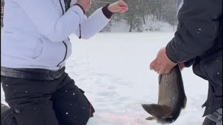 PB brown trout through the ice!!