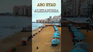 alex,,ALEXANDRIA,,