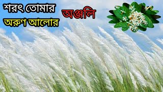 ||শরৎ তোমার অরুণ আলোর অঞ্জলি|| Sarat Tomar  Arun Alor Anjali."Rabindra sangeet"@SongofMadhumita62