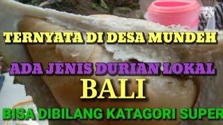 DURIAN LOKAL BALI JENIS SUPER