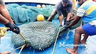 trawl net fishing