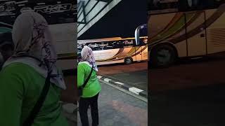 Keberangkatan Malam Minggu 27 Juli 2024 Bus keren#busmania #pekalongan#pemalangjawatengah #dewisri