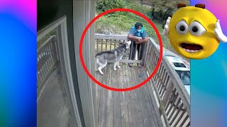 AMAZON DELIVERY DRIVER ALMOST GOT ATTACK BY A DOG