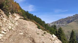 Fındıklı çamlık yayla yolu