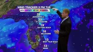 Tropics Quiet, but Local Nor'Easter Expected This Week on First Coast