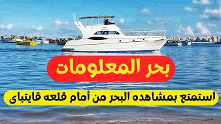 اسرار نفسيه⁉️معلومات عامه‼️ مع مشاهده البحر من أمام قلعه قايتباى