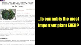 ...Is cannabis the most important plant EVER?