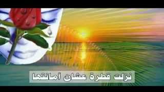 شعار مهرجان الكرازة 2015   حبة حنطة