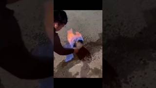 Bro Is Literally On Fire 💀🔥 #shorts #funny #viral #trending