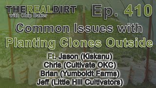 How to Plant Clones Outside the RIGHT Way [Ft. Jason, Chris, Brian and Jeff]