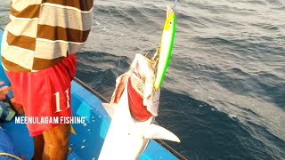 Fast trolling fishing method//tuna fish