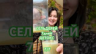 #детокс#здоровье#рецепты#detox#сельдерей#mylife#mylifestyle#my_first_vlog#пп#yoga#йогаонлайн#йога