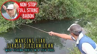 Mancing Liar Serasa Dikolam Ikan / Wild Fishing Feels In A Fish Pool