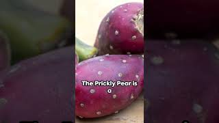 Catus Pear- Power Unleash The Health.#health#nature#fruit#berries #cancer#inflammation#culinary