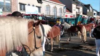 Houtem Jaarmarkt Werelderfgoed