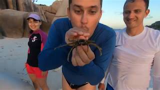 Crab Accident on Cosos island