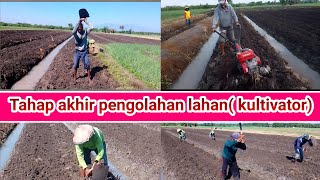 proses kultivator,sebelum tanam