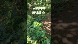 라엘의 숲 #곤달비 #산책로