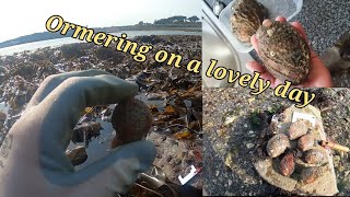 Coastal foraging for Lobsters and ormers