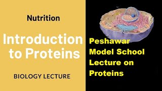 Introduction of Proteins chemistry10 lecture:80 unit:13 PMS