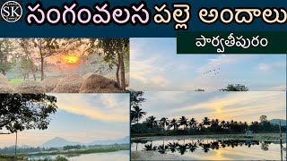 Sangamvalasa Palle andalu||Parvathipuram Manyam district||#satishkakimukkala||#villagevlog #manyam