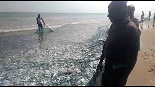 ONGOLE Fishing