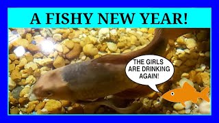 Episode 72 - Happy New Years! We're doing a Fishy Recap over drinks! (Drink Like A Fish Episode)