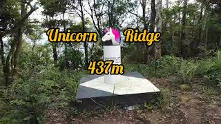 Unicorn 🦄 Ridge 437m | Peakmaster HongKong1