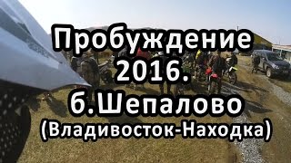 Пробуждение 2016. Шепалово.