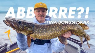 SOMMARFISKE EFTER ABBORRE, MED FINA BONUSFISKAR - VLOG⁷