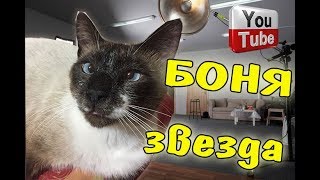 ☺МиМиМишное Видео о Боне 😺