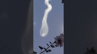 Rocket launches from Vandenberg California