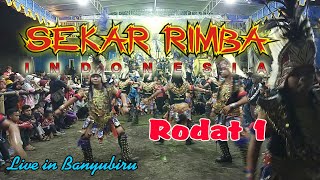 SEKAR RIMBA INDONESIA live in Banyubiru