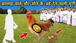 अल्लाह के वली और सोने के 2 अंडे देने वाली मुर्गी का वाकिया || Allah Ke Wali Aur Ajeeb Murgi