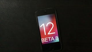 iOS 12 Beta 8 iPhone SE Review