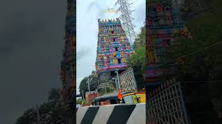 #vijayawada #vijayawadacity #vijayawadafoodies #bezawada #bezawadamedia #shorts  #durgammatemple