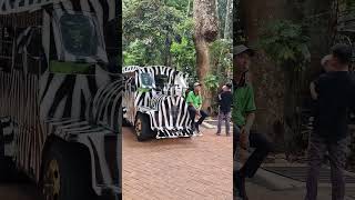 Kereta zebra dan harimau