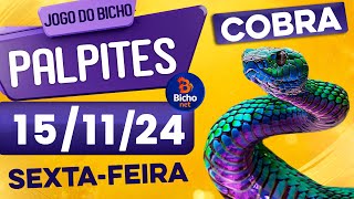 PALPITE DO DIA 15/11/2024 - JOGO DO BICHO 🍀 TODAS AS LOTERIAS 🍀